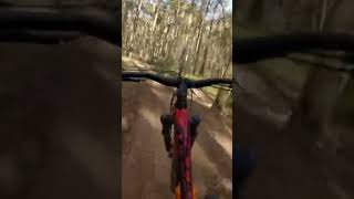 Flowy mtb #mtb #mountainbike #bikeshorts...