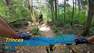 Trincea, Mt. Morello (FI), 27-02-2023