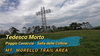 Tedesco Morto, Mt. Morello (FI), 27-02-2023
