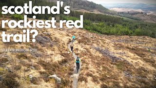 Conquer the Red MTB trails at Laggan: A...