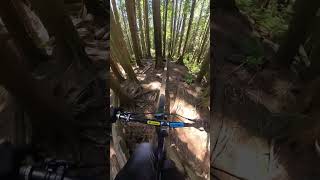 Could you ride this first try?#mountainbike...