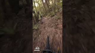 Hatu Patu - Rotorua #mountainbiking #NZMTB...
