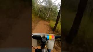Full blast #downhill #mountainbike...