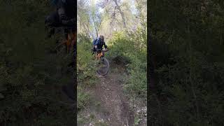 Freewheel #mountainbike #enduro #mtb #bike...