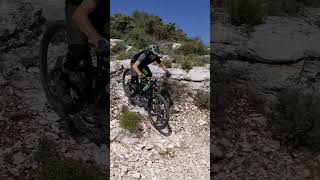Freewheel #mountainbike #enduro #mtb #bike...