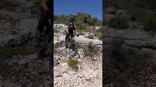 Freewheel #mountainbike #enduro #mtb #bike...