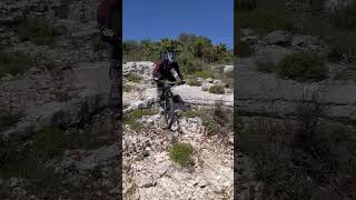 Freewheel #mountainbike #enduro #mtb #bike...