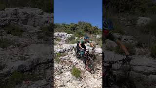Freewheel #mountainbike #enduro #mtb #bike...