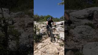 Freewheel #mountainbike #mtb #enduro #provence...