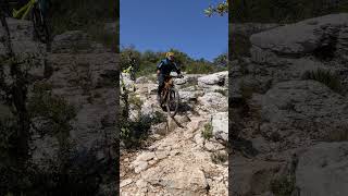 Freewheel #mountainbike #mtb #enduro #provence...