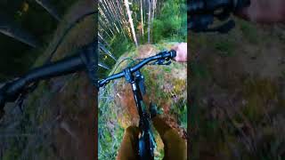 Steep, Chunky, Fast! Commitment is Everything