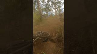 This Crash caused my worst injury to date ...