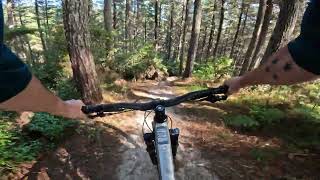 Bomber @ 440 MTB Park.