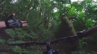 Descendo a Rock das Aranha