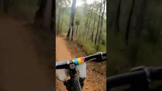 Racing a sandy track #downhill #bike...
