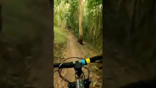 Brap #mtb #mountainbike #bikeshorts #downhill...