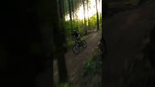 Golden Hour! Raw Clip #mtb #mountainbike #bike...