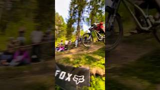 JoyRide Downhill 2023 