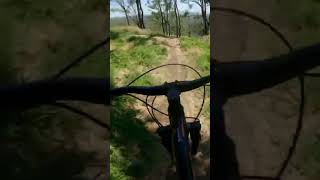 Hammering down hot rod #mtb #hammers #fast...