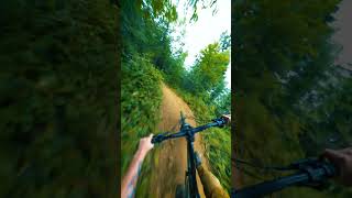 High Speed Trail!!