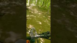 Swazy Express #mountainbike #mtbiking