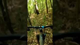 With the forest #mtb #bikeshorts #downhill...