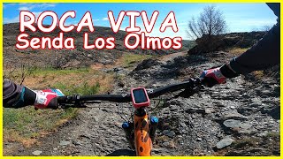 Sendero por roca viva   Senda Los Olmos -...
