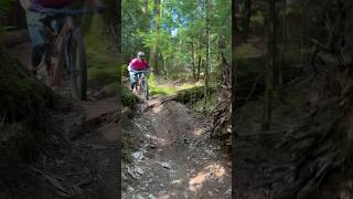 Is this REALLY the UK?! Insane trail...