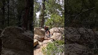 The proper way to test a brand new set of wheels