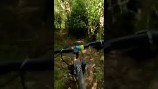 Log drop #mountainbike #mtb #bikeshorts...