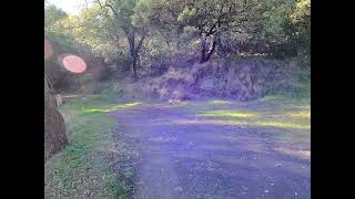 Catamount Trail