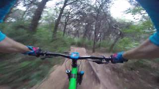 BTT AM - JAVALI @ Monsanto - Orange P7 hardtail