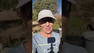 A dream come true  I  Riding a Percheron  I ...