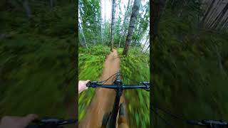 Fast, Dusty Shredding!