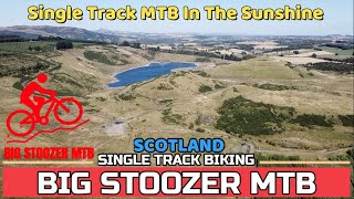 SINGLE TRACK MTB JOY. In The Sunshine....