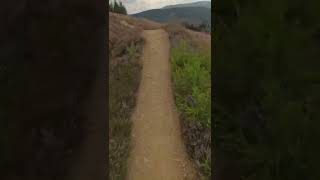 Single Track Thrills At Glenlivet. Fast &...