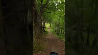 Single Track mtb. Downhill mtb. Scotland....