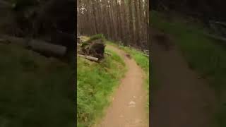 Single Track mtb. Downhill mtb. Glenlivet....