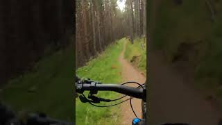 Single Track mtb. Downhill mtb. Glenlivet....