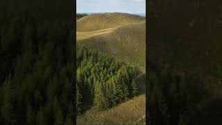 Downhill mtb. Single track mtb. Drone video....