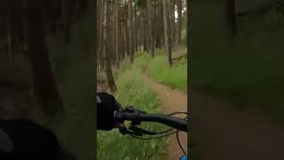 Single Track mtb. Downhill mtb. Scotland....