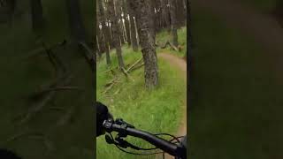 Single Track mtb. Downhill mtb. Scotland....