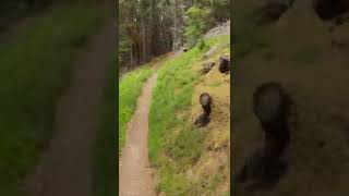 Single track mtb. Scotland. Mountain biking....