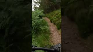 Am Beanaidh Single Track. Short No 3. Glen...