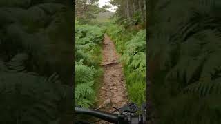 Am Beanaidh Single Track. Short No 2. Glen...