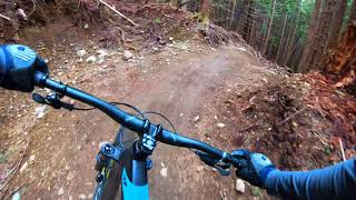 Meadow of the Grizzly 4k 60 fps with gimbal