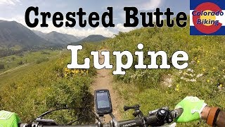 CO MTB  | Crested Butte | Lupine Trail