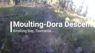 Moulting Dora Descent
