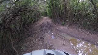 Zedda trail Elba, Italy