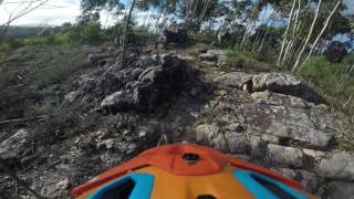 Belas - fetos - BTT All Mountain MTB 2016-02-13